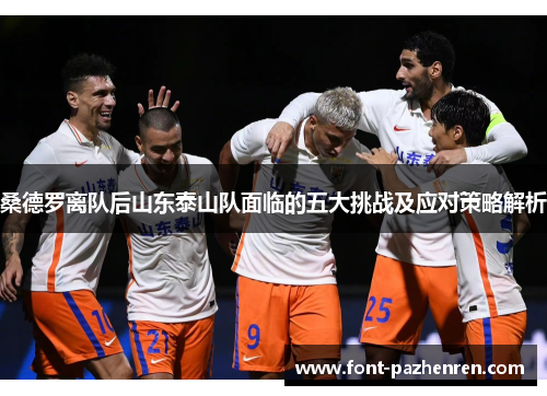 桑德罗离队后山东泰山队面临的五大挑战及应对策略解析