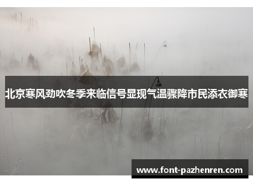 北京寒风劲吹冬季来临信号显现气温骤降市民添衣御寒
