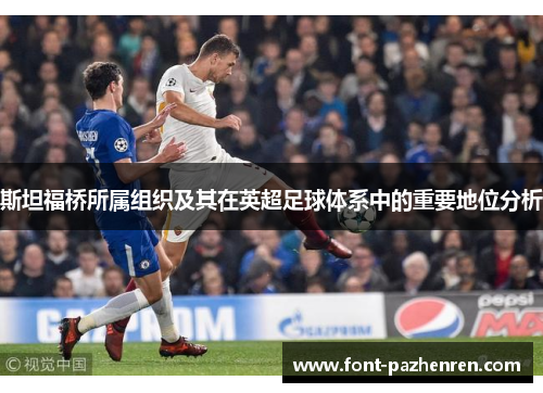 斯坦福桥所属组织及其在英超足球体系中的重要地位分析