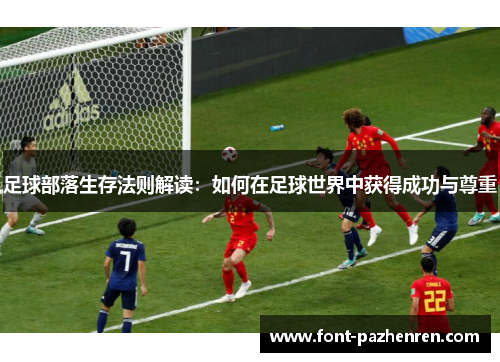 足球部落生存法则解读：如何在足球世界中获得成功与尊重
