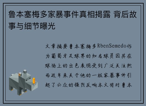鲁本塞梅多家暴事件真相揭露 背后故事与细节曝光