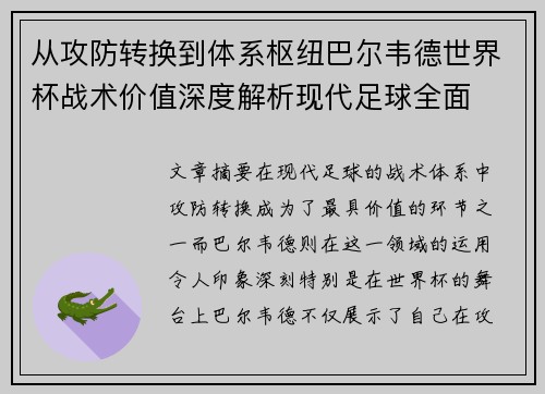 从攻防转换到体系枢纽巴尔韦德世界杯战术价值深度解析现代足球全面