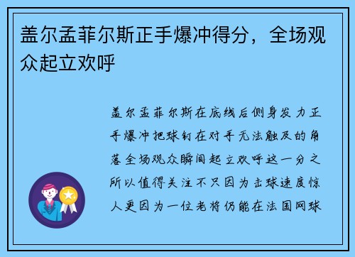 盖尔孟菲尔斯正手爆冲得分,全场观众起立欢呼 盖尔孟菲尔斯正手爆冲得分,全场观众起立欢呼